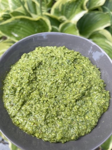 Basil Pesto